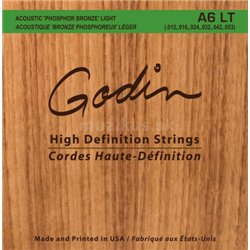 GODIN Strings Acoustic Guitar LT
