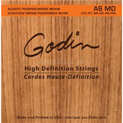 GODIN Strings Acoustic Guitar MD