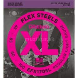 D'ADDARIO EFX170SL