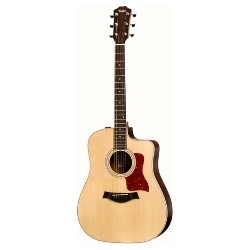 Taylor TY 210 - CE Drednought gitara