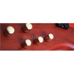 SCHECTER Stiletto Studio 4, Rosewood Fingerboard - Honey Satin 2