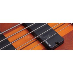 SCHECTER Stiletto Studio 5, Rosewood Fingerboard - Honey Satin 2