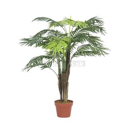 Palma Areca, 110 cm 