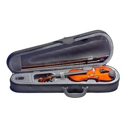 Stagg VN-3/4, husle 2