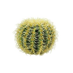 Okrúhly zlatý kaktus, 27 cm 