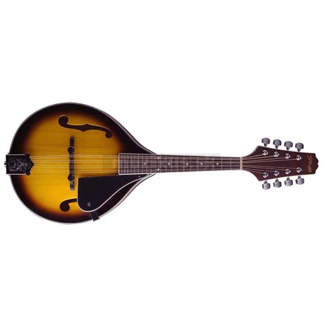 Stagg M40 S, mandolína