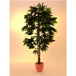 Strom Mango, 180cm  2