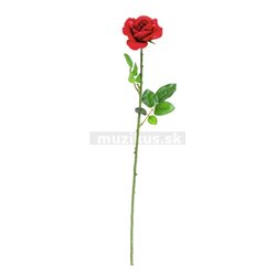 Růže s otevřeným květem, červená
