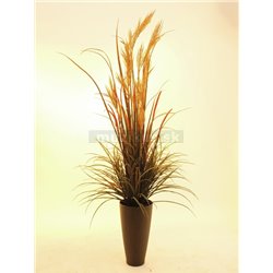 Riečne tráva, 175 cm  2