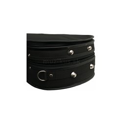 Ideal violin case, violin-shaped 2