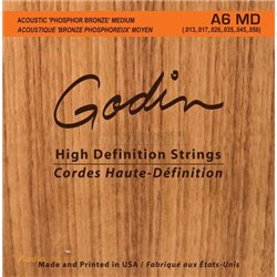 GODIN Strings Acoustic Guitar MD 2