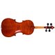STRUNAL SCHÖNBACH Violin Stradivari Maestro 331 4/4