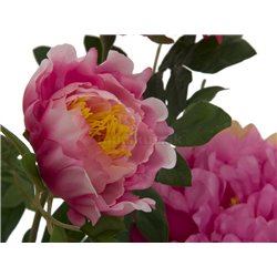 Růžová pivoňka, 90 cm 2