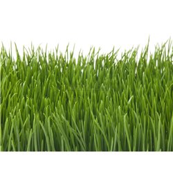 Umělá tráva, světle zelená, 25 x 25 cm 2