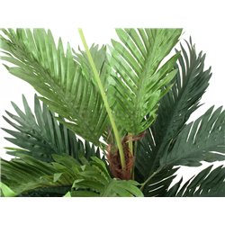 Kentia palma, 120 cm 2
