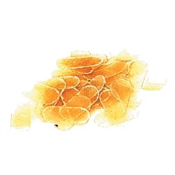 GEWA Made in Germany Ochrana pro houslovou kobylku  