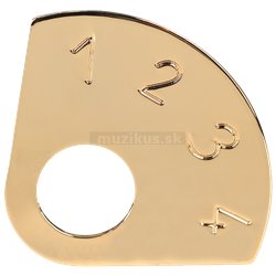 Framus Vintage - 4 Position Control Plate / Gold