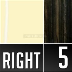 Warwick Teambuilt Pro Series Corvette Ash, 5-String, Fretless - Solid Creme White High Polish