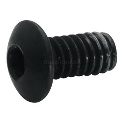 Floyd Rose FRPSMSBP - Pro Saddle Mounting Screws 2