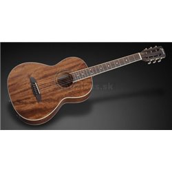 Framus Legacy Series FP 14 M Parlor, with EQ - Natural Transparent Satin