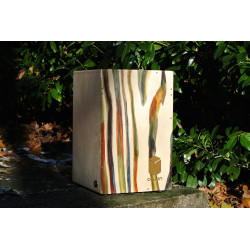 PISCH percussions - Dovetail Colore