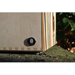 PISCH percussions - Dovetail Colore 2