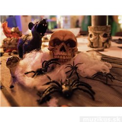 Halloween pavučina 50g, UV aktivní bílá 2