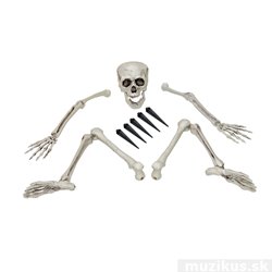 Halloween lebka a končetiny kostlivce