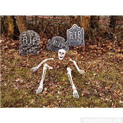 Halloween lebka a končetiny kostlivce 2