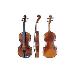 GEWA husle Allegro-VL1 4/4 lefthand včetně Setup