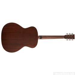 TANGLEWOOD TWCR O 2