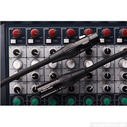 WARM AUDIO Prem-XLR-10' 2