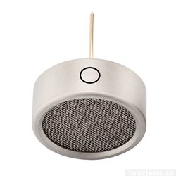 Warm Audio WA-84 Omni Capsule - Nickel