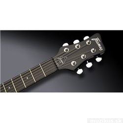 FDS Idolmaker NB THP         CHROME Framus 100/400 MFT Dots