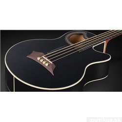 Warwick RockBass Alien Standard, 4-String, Fretless with Lines - Solid Black Satin