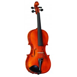 Strunal 175 W 3/4, Stradivarius model (koncertné husle)