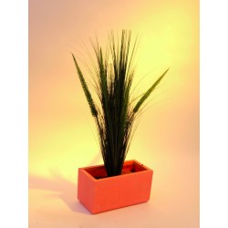 Perovec psárkovitý s 5 zelenými listami, 96 cm  2