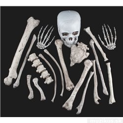 Halloween 17 kostí v pytli 2