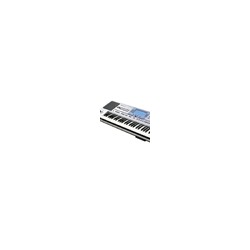 Korg Pa50 SD - Professional Arranger Keyboard