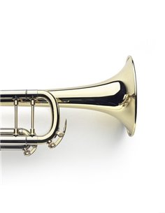 VANLAAR B9.1 Bb Trumpet Raw Brass