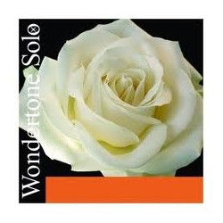 Pirastro VIOLIN WONDERTONE SOLO SET  E-LOOP MITTEL ENVELOPE