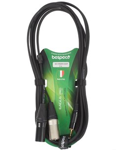 BESPECO EAYMS2MX300R