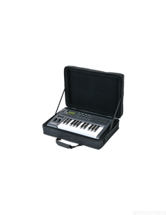 SKB Cases 1SKB-SC1913