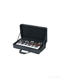 SKB Cases 1SKB-SC2311 2