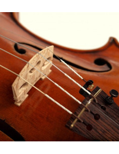 Warchal Amber (701B) huslova struna E s guličkou 2