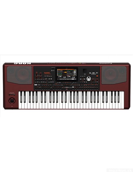 Korg Pa1000