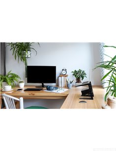 Pronomic LS-200 Laptop Stand Deluxe 2