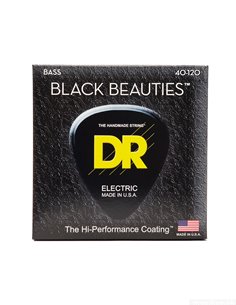 Black Beauties BKB5-40