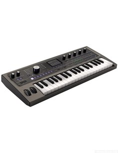 microKORG2 2