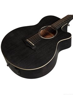 TANGLEWOOD TWBBSFCE (rozbalené) 2